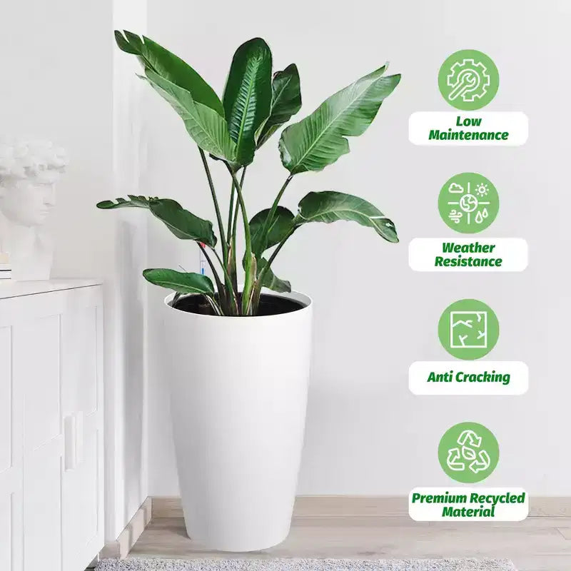 Les pots de fleurs à arrosage automatique avec moniteur de niveau d'eau conviennent aux terrasses et balcons intérieurs et extérieurs.