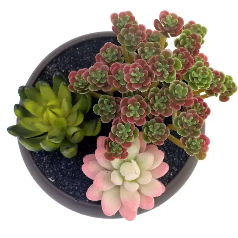 Pot de fleurs rond en céramique non émaillée