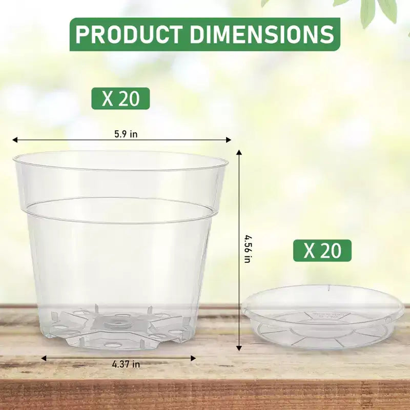 Pots de pépinière transparents pour plantes avec soucoupes et trous de drainage