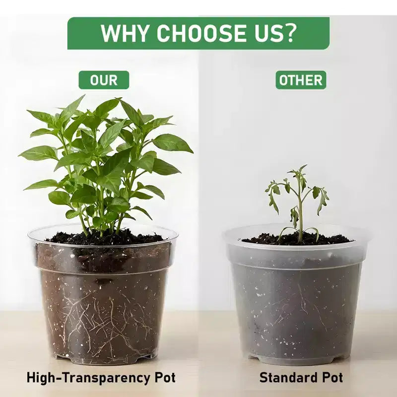 Pots de pépinière transparents pour plantes avec soucoupes et trous de drainage