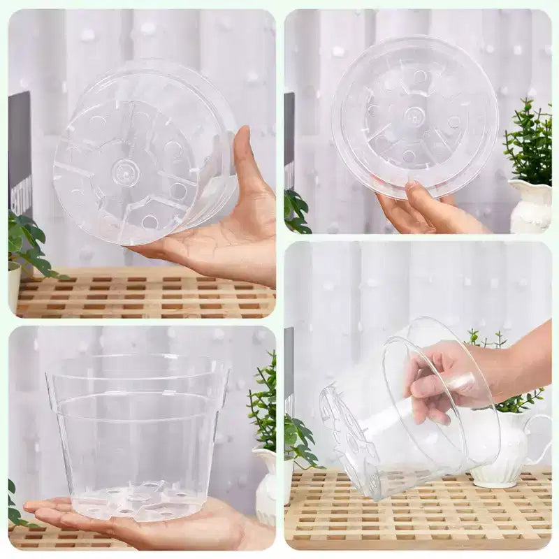 Pots de pépinière transparents pour plantes avec soucoupes et trous de drainage