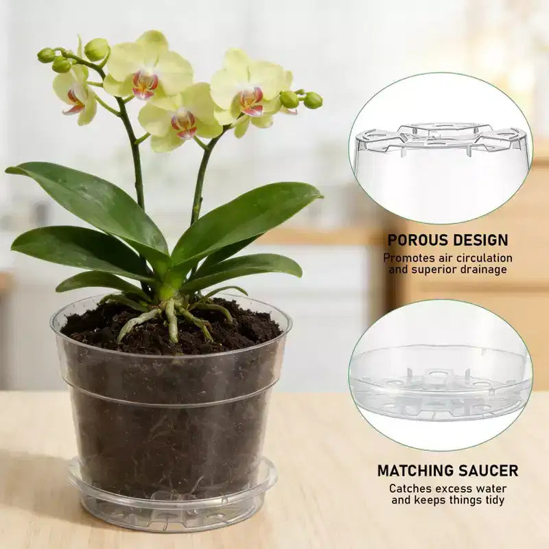 Pots de pépinière transparents pour plantes avec soucoupes et trous de drainage