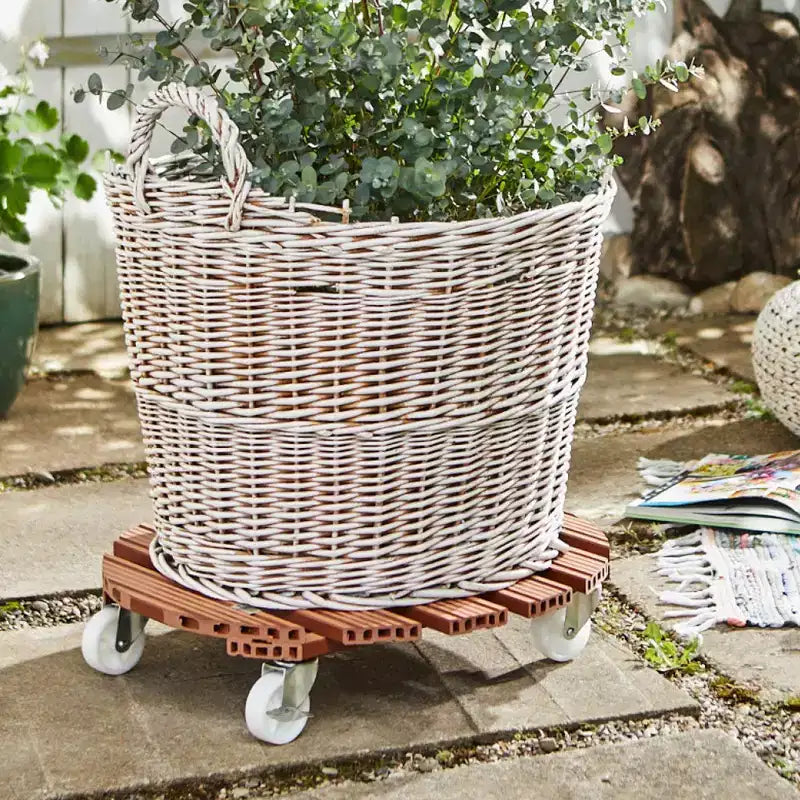 Support roulant rond pour plantes