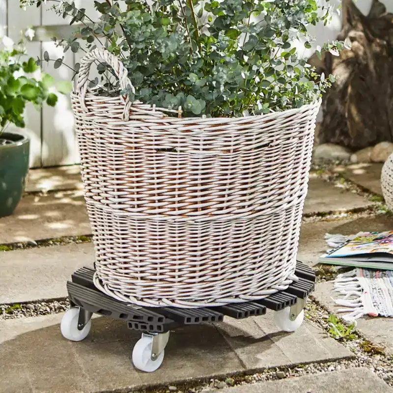 Support roulant rond pour plantes