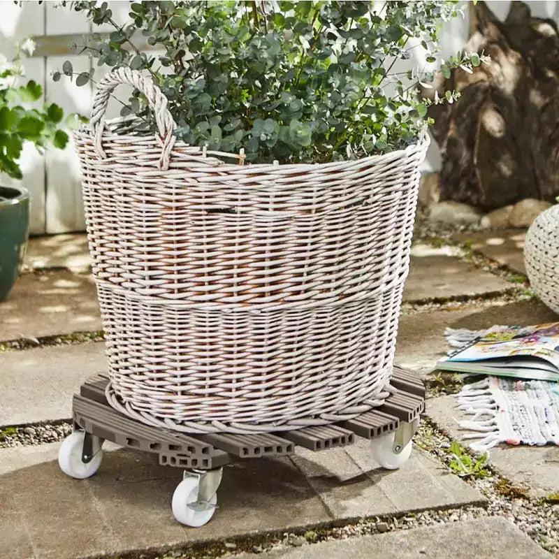 Support roulant rond pour plantes